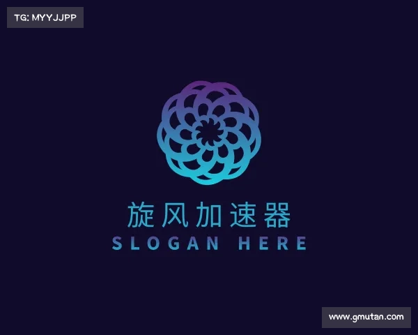 了解旋风加速器